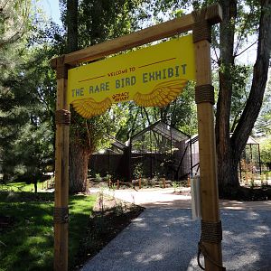 Rare Birds Exhibit