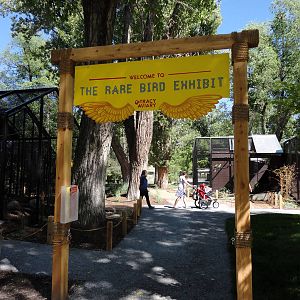 Rare Birds Exhibit