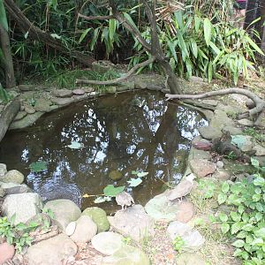 Australasia- Walk-Thru Aviary