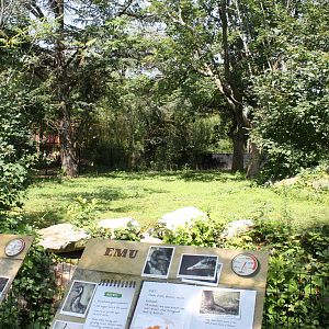 Australasia- Emu/Eastern Gray Kangaroo Exhibit