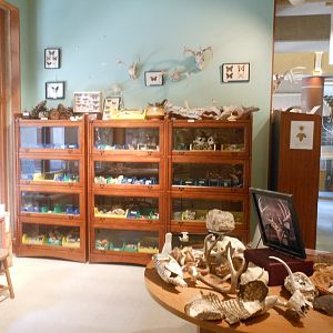 Austin Nature and Science Center