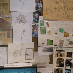 Austin Nature and Science Center