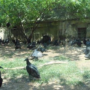 Brazos River Country