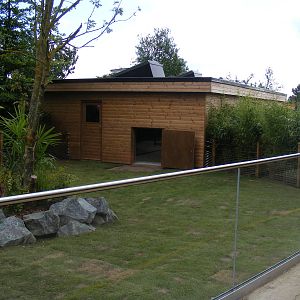 Giant tortoise enclosure