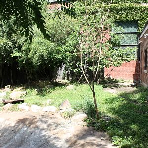 Tropical America- Giant Anteater Exhibit