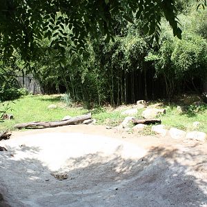 Tropical America- Giant Anteater Exhibit