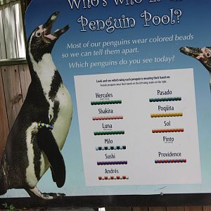 Tropical America- Who's Who?