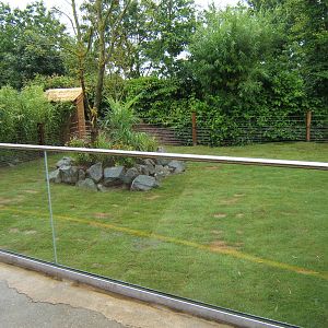 View of left hand side outdoor Tortoise exhibit
