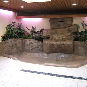 View inside new tortoise house