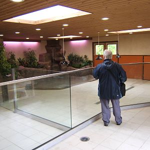 View inside new tortoise house with zoochatter for scale