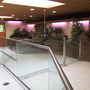 View inside new tortoise house