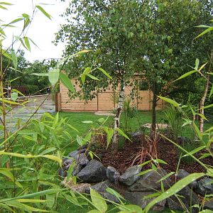 View of right hand side outdoor Tortoise exhibit