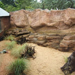 View of outdoor Fennec Fox enclosure
