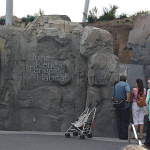 June Keyes Penguin Habitat - July 13, 2012