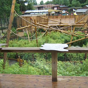 View of Lost Madagscar walk through