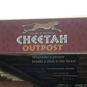 Cheetah Outpost
