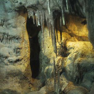 tropical discovery-bat cave