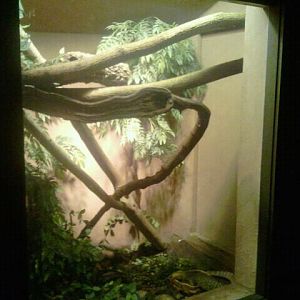 Jul. 2012-Quince Monitor exhibit