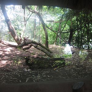 Jul. 2012-(Look who's back) Diana Monkey exhibit