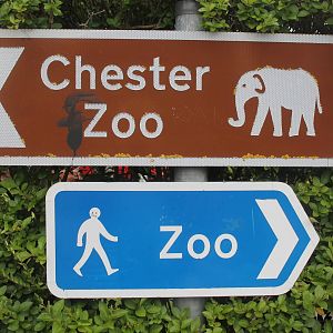 All roads lead to Chester Zoo