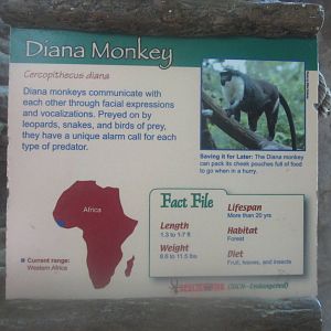 Jul. 2012-Diana Monkey sign