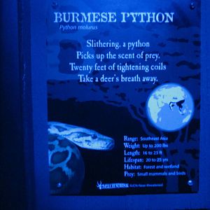 Jul. 2012-Burmese Python sign