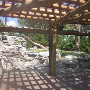 Jul. 2012-Cougar exhibit