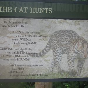 Jul. 2012-The Cat Hunts sign