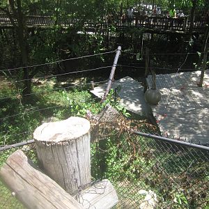 Jul. 2012-White Lions of Timbavati from above