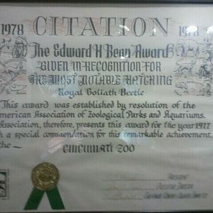 Jul. 2012-Edward H. Bean Award for hatching of the Royal Goliath Beetle