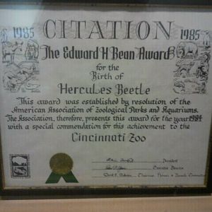 Jul. 2012-Edward H. Bean Award for the birth of the Hercules Beetle