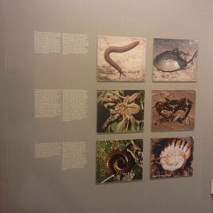 Jul. 2012-Insect Relatives signs