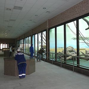 Monkey House. Indoor view