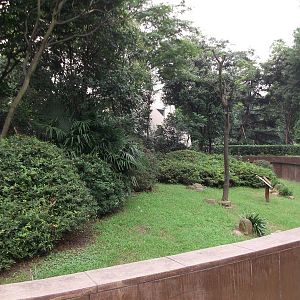 More of the outside Squirrel Monkey enclosure