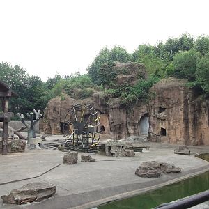 Other side of Baboon enclosure