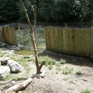 ZOO Ljubljana - Brown bears