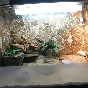 ZOO Ljubljana - Vivarium