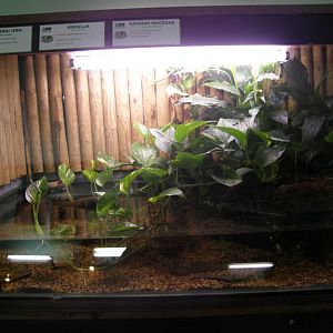 ZOO Ljubljana - Vivarium