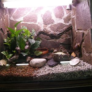 ZOO Ljubljana - Vivarium