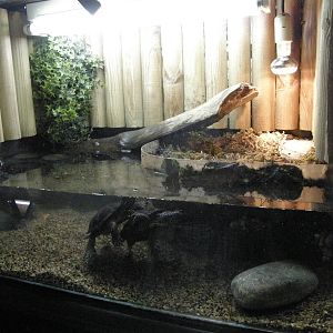 ZOO Ljubljana - Vivarium