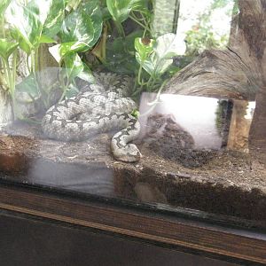 ZOO Ljubljana - Vivarium