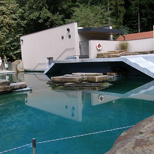 ZOO Ljubljana - California sea lion
