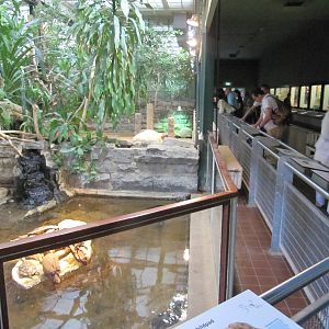 Reptile House 2010