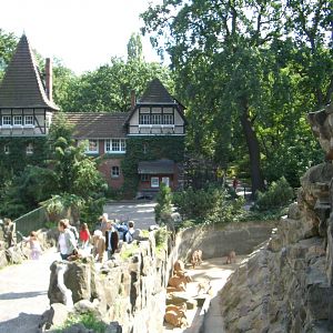 Chicken House and Goat Mountain 2005