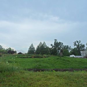Polar Bear 1st Exhibit
