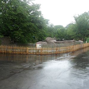 New Slender-snouted Crocodile Exhibit