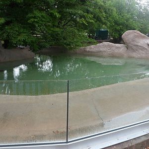 New Slender-snouted Crocodile Exhibit