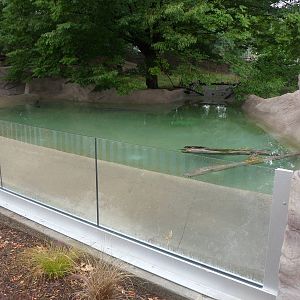 New Slender-snouted Crocodile Exhibit