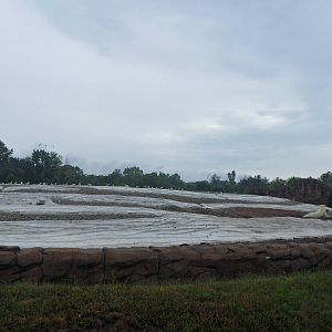 Polar Bear 2nd Exhibit