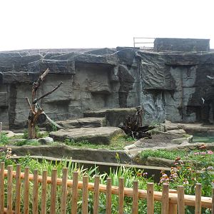 Back Grizzly Bear Exhibit